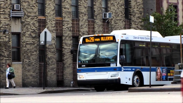 Buses in the Bronx,
