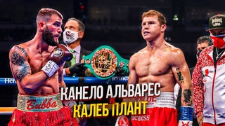 КАНЕЛО АЛЬВАРЕС vs. КАЛЕБ ПЛАНТ - БОЙ ЗА АБСОЛЮТНОГО ЧЕМПИОНА