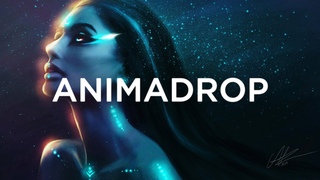 Animadrop - noonewillfollow