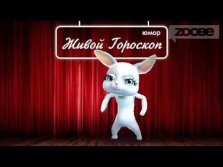 Шутка из гороскопа. Смешная Зайка Zoobe :) Она царапала мне спину...