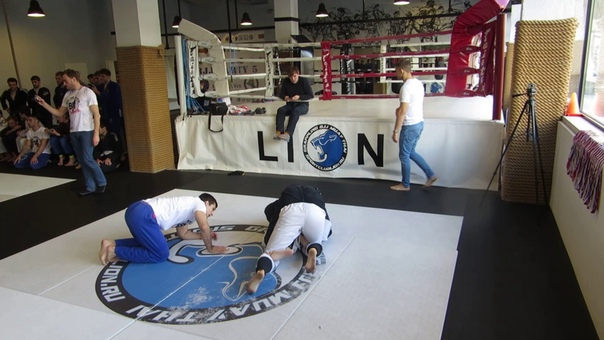 8 1 bjj party 5 белые пояса 60+ схватка 8 Павлова vs Верман часть