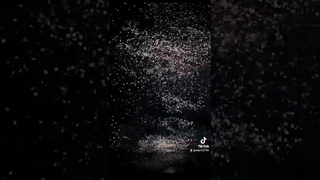 #taehyung #V