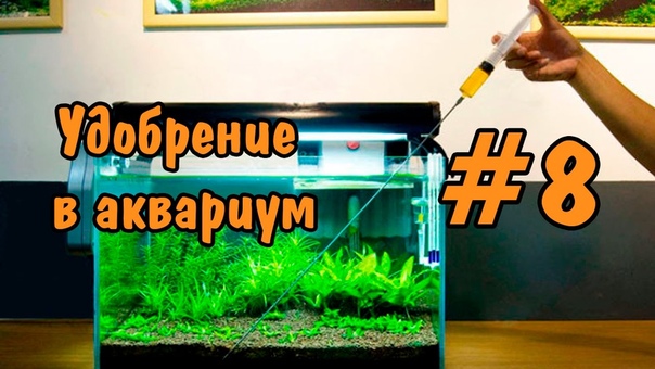 8 Удобрения для аквариума. Fertilizers for