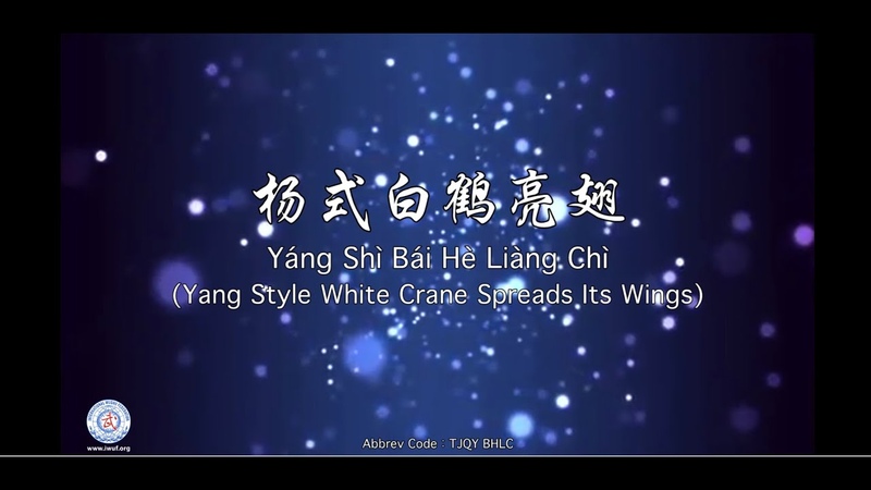 Yáng Shì Bái Hè Liàng Chì ( Yang Style White Crane Spreads its