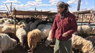 360 Video: Climate Change on the Navajo Nation