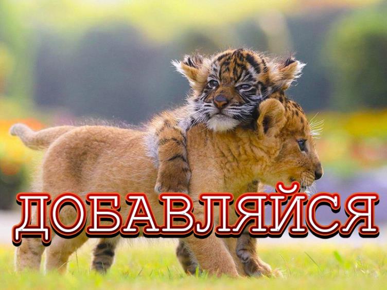 картинка добавь в друзья