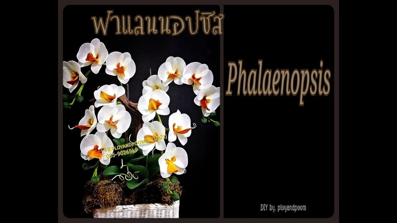 EP101 : How to make (ฟาแลนนอปซ ส (phalaenopsis orchids) nylon, stocking flower by