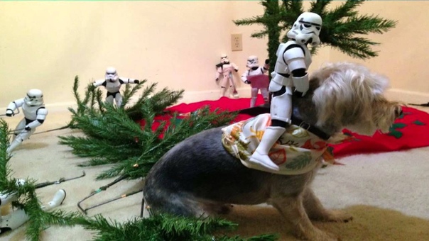 Kyle Shearrer Star Wars X