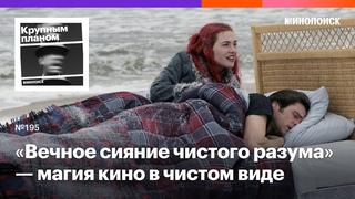 Почему Вечное сияние чистого разума  магия кино в чистом виде