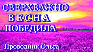 СВЕРХВАЖНО ВЕСНА ПОБЕДИЛА @novoe_probujdene_chelovchestva