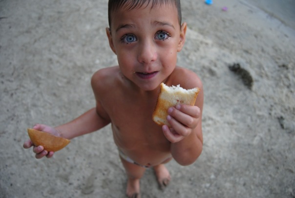 №31, Миша Миша, Харьков №31, Миша Миша, Харьков