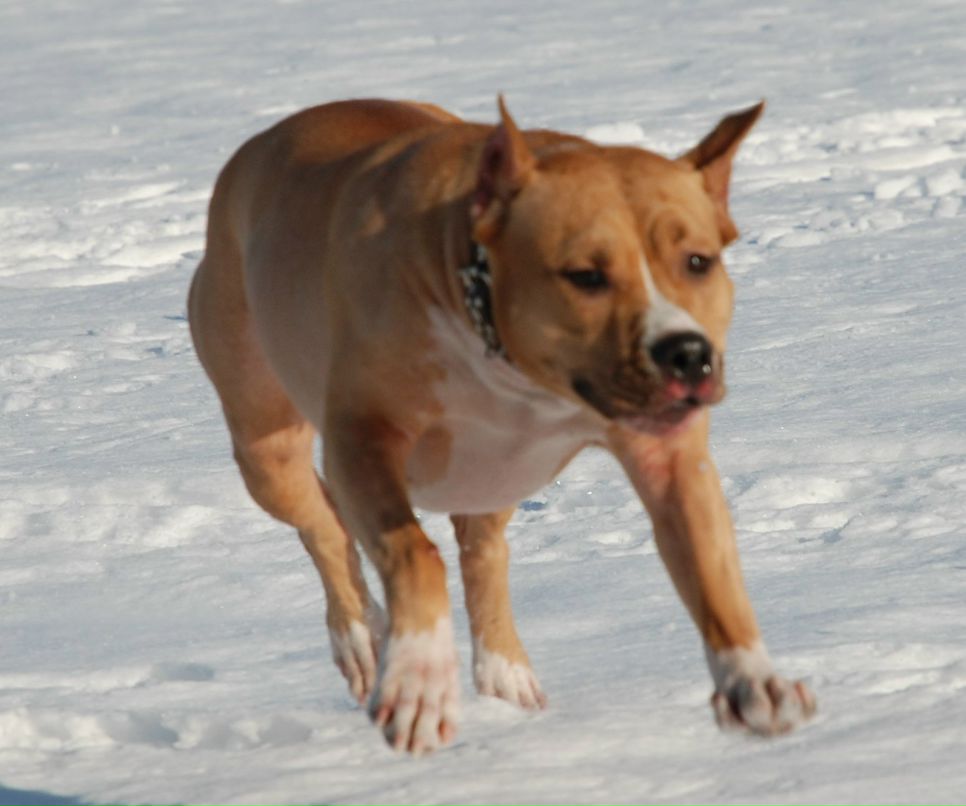 Алексей Цимбалистый | Санкт-Петербург