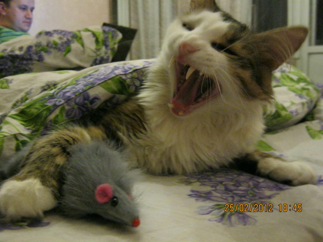 Александр Бочаров | Мариуполь