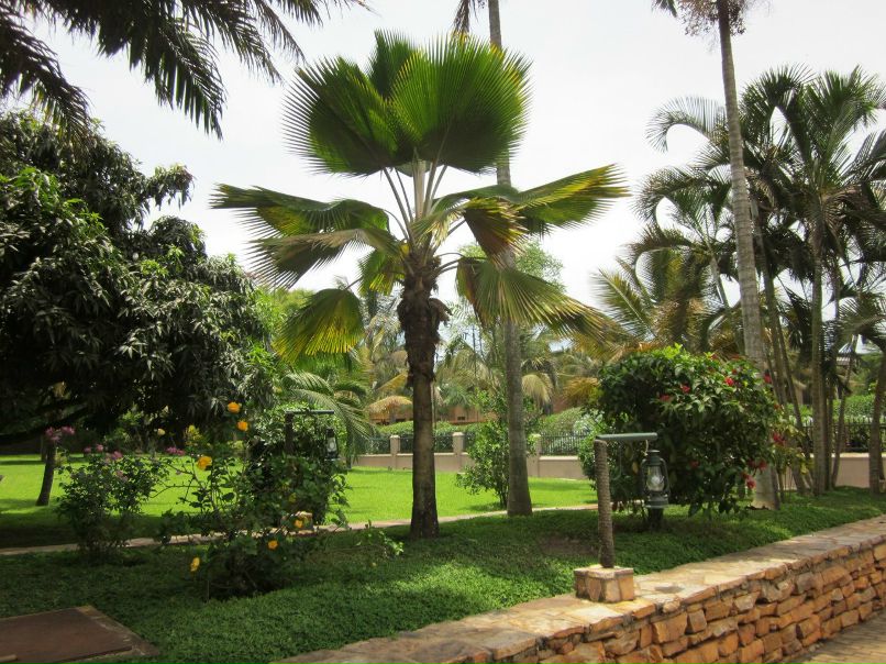 Andre Pablo | Санкт-Петербург