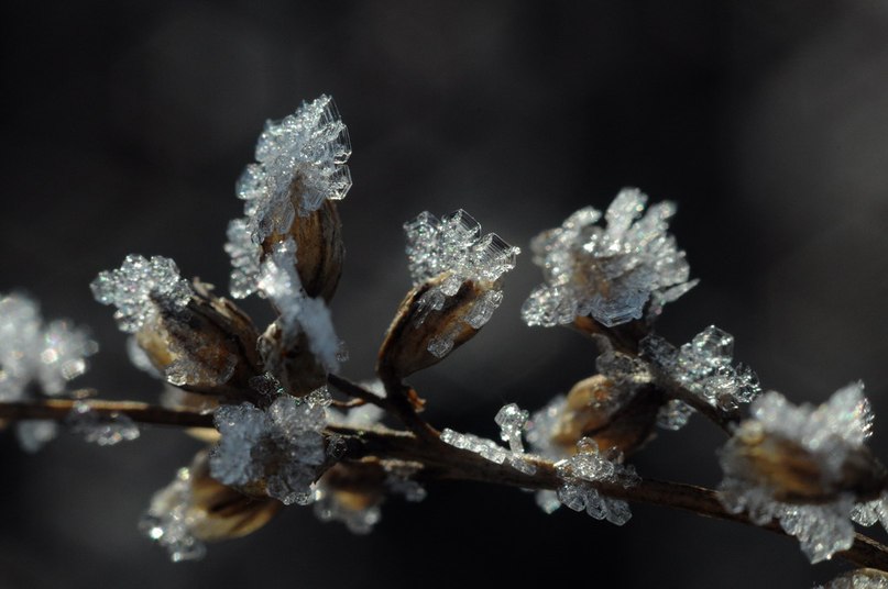 Александр Назаров uBaHbI4 | Киев