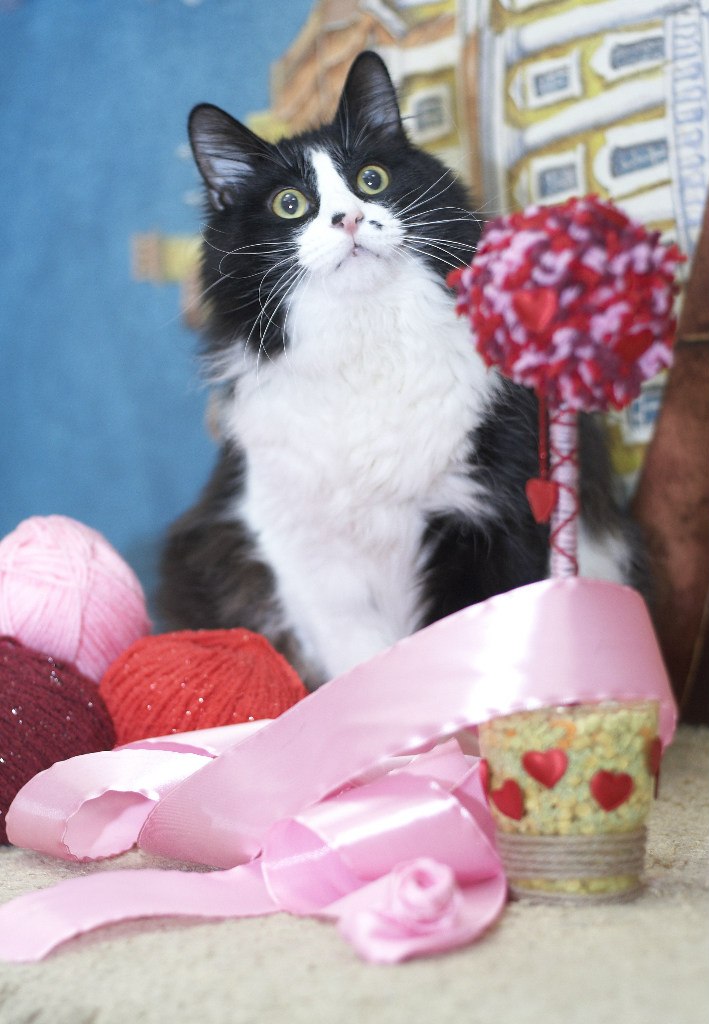 Катерина Uma rock♥n♥heart | Санкт-Петербург