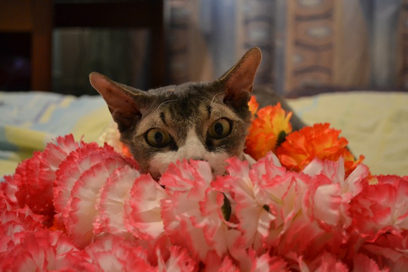 Виталий Лисов | Красноярск