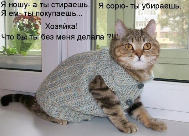 №40, Коля Пукалюк, Дубно №40, Коля Пукалюк, Дубно