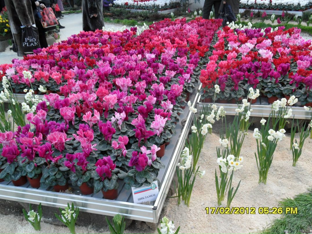 Инна Ахтименко | Калуга