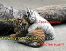 Татьяна Побединская, Звенигород, Россия, 
