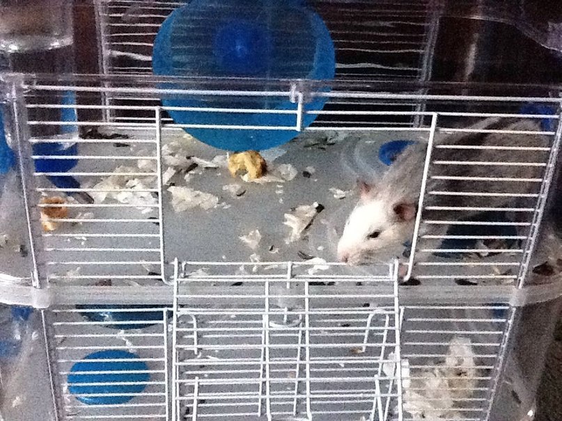 Настя Журавлева | Москва