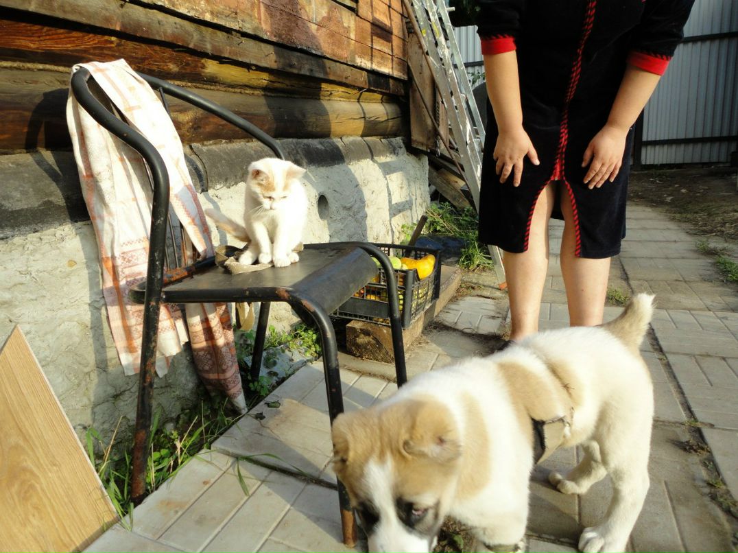 Наташа Копылова | Ногинск