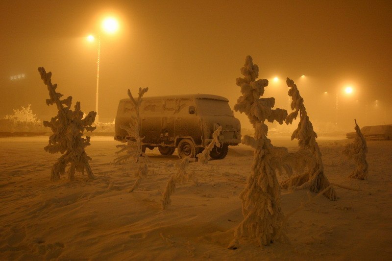 Максим Богдашкин | Вологда