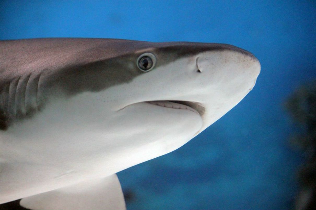 Анна Иванова | Москва