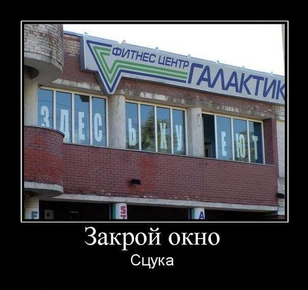 Ольга Лаврова | Брянск