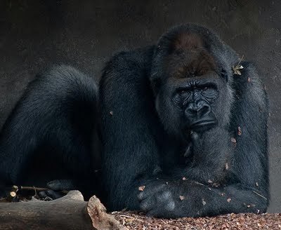 Вадим Рунец !Нибируанец! | Рига