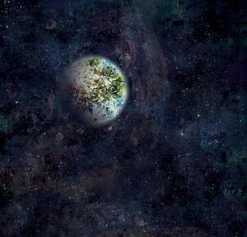 Алиса Малая | Владивосток