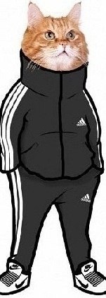 Сергей Сысоев | Самара