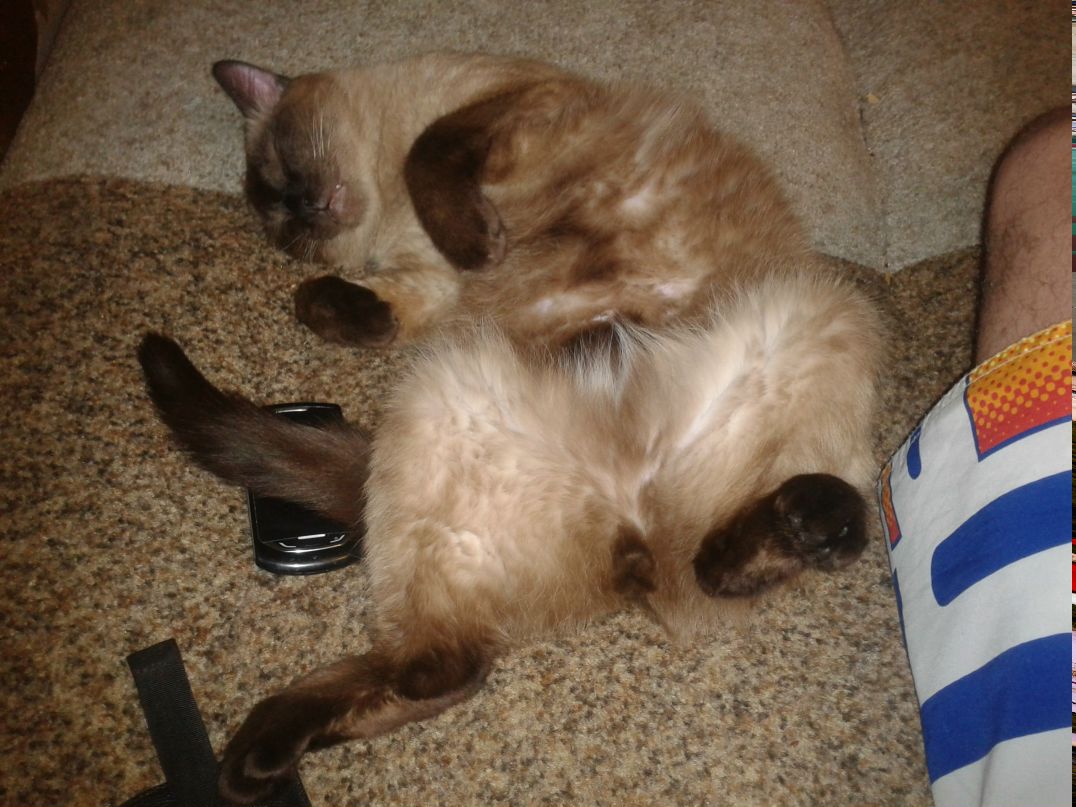 Игорь Нейский | Екатеринбург