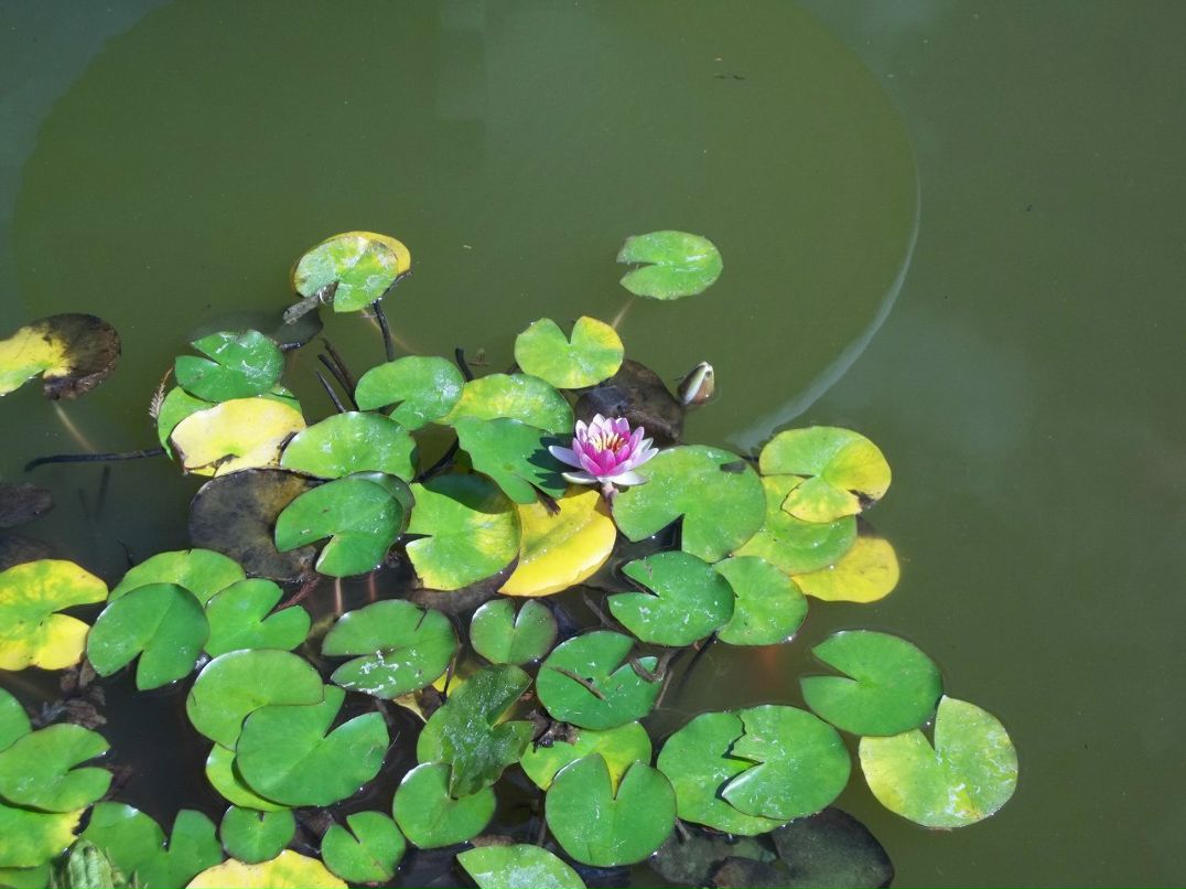 Алексей Зинюк | Бердянск