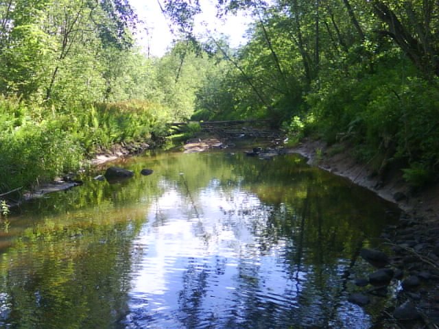 Ольга Волкова | Пола