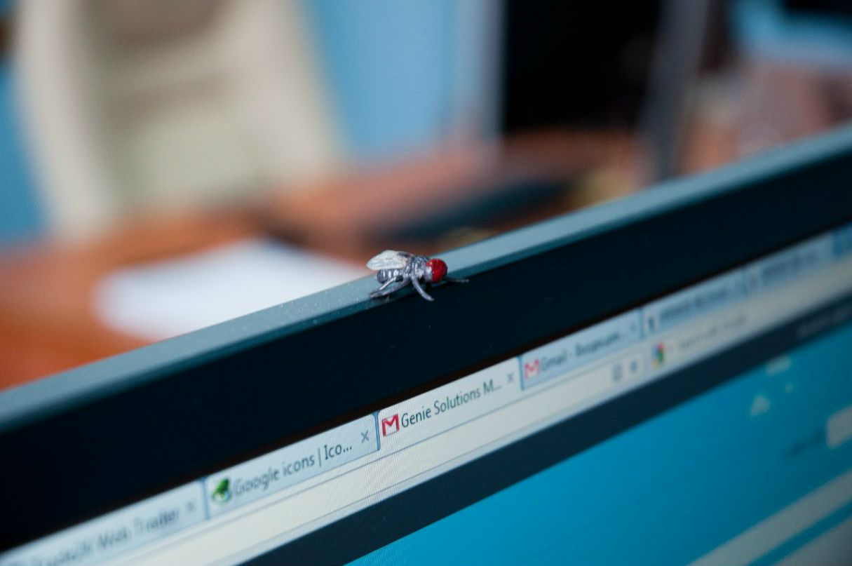 Александра Гуркова Санечка | Харьков