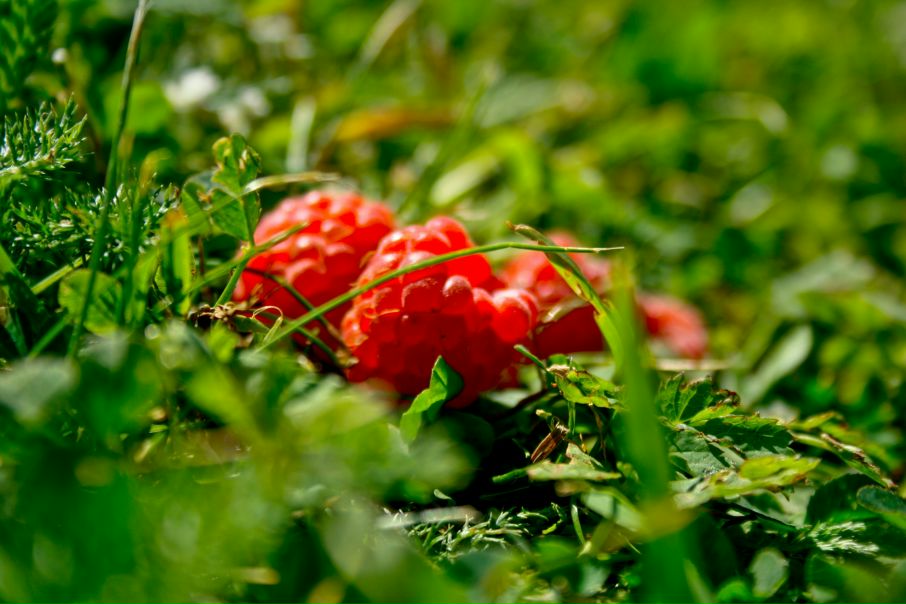 №53, Олька Загогулина, Санкт-Петербург №53, Олька Загогулина, Санкт-Петербург