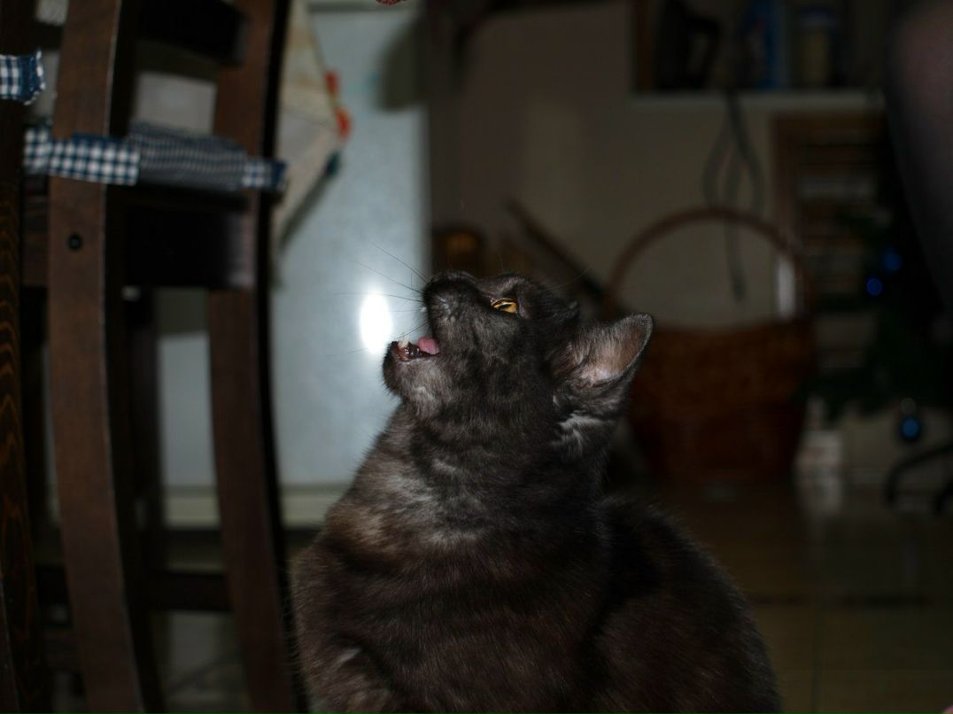 Ярослав Влах | Краснодар