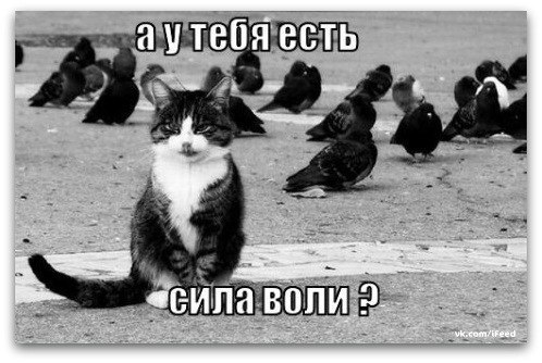 Анастасия Ткачёва | Berlin