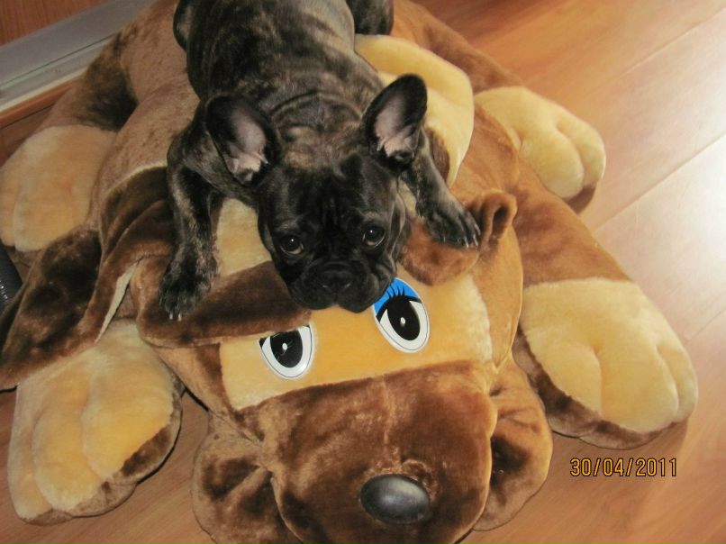 Наталья Долотова | Рыбинск