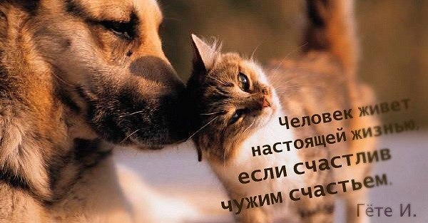 Екатерина Мельниченко | Екатеринбург