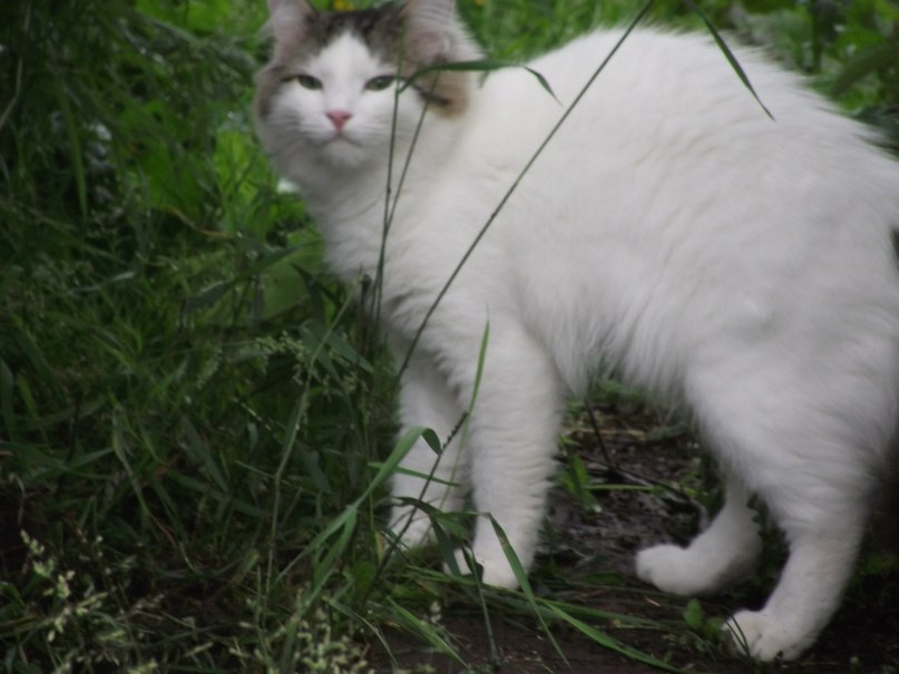Надежда Пирогова | Петрозаводск