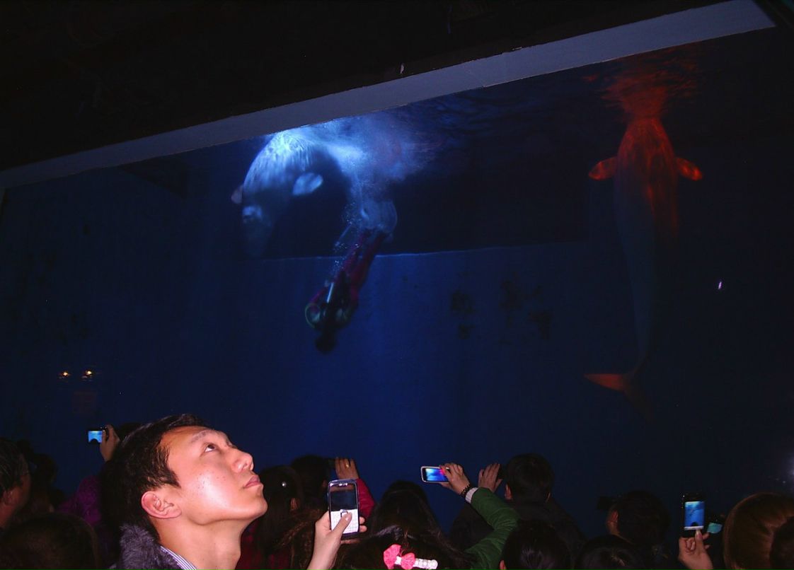 Сергей Пономарев ˙·٠✈ | Новосибирск