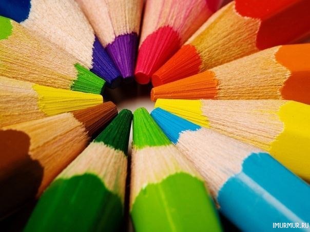 Ксения Горячевская | Санкт-Петербург