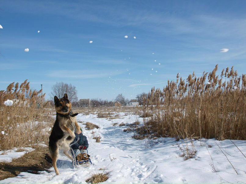 Інна Згривець | Киев