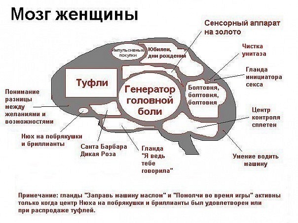 №62, Томас-neo Андерсон (thomas anderson) №62, Томас-neo Андерсон (thomas anderson)