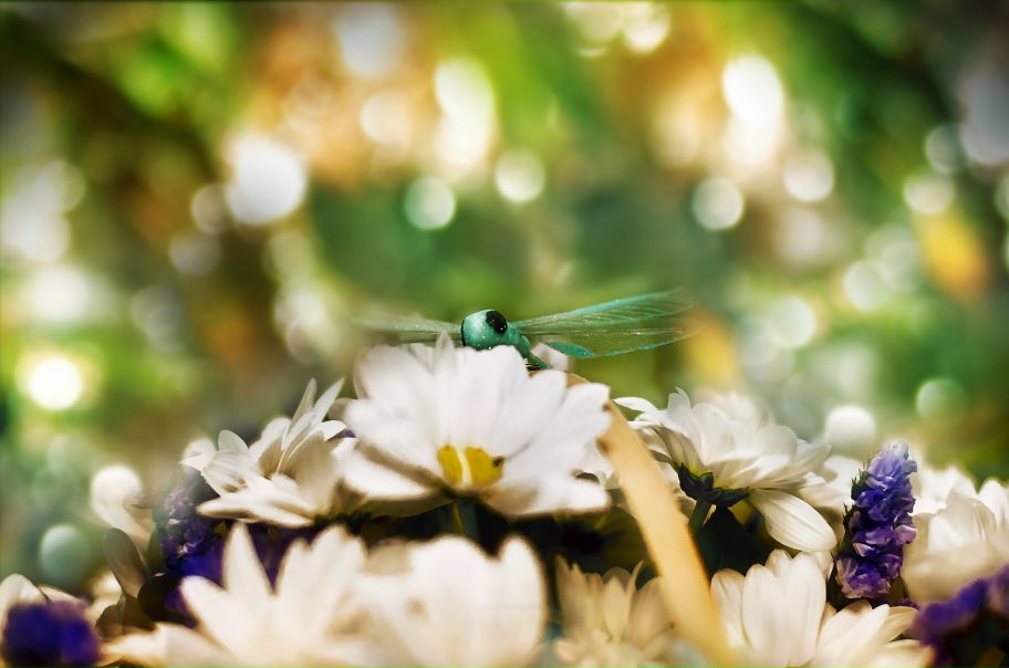 №50, Jay Lay, 35 лет №50, Jay Lay, 35 лет