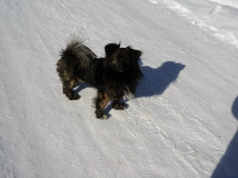 Евгений Попов | Санкт-Петербург
