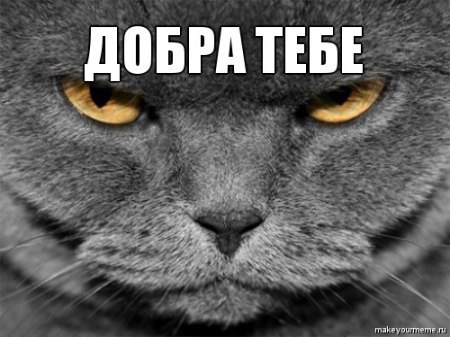 Магомед Дахкильгов | Нижний Новгород