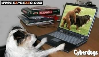 Alex-p.76 Плюснин | Екатеринбург